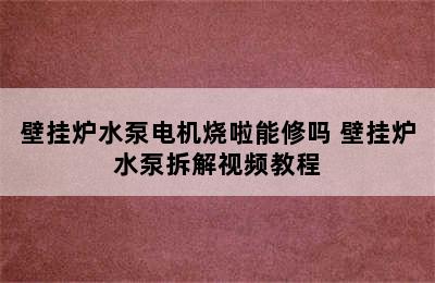 壁挂炉水泵电机烧啦能修吗 壁挂炉水泵拆解视频教程